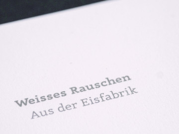 Projekt «Weisses Rauschen – Aus der Eisfabrik»